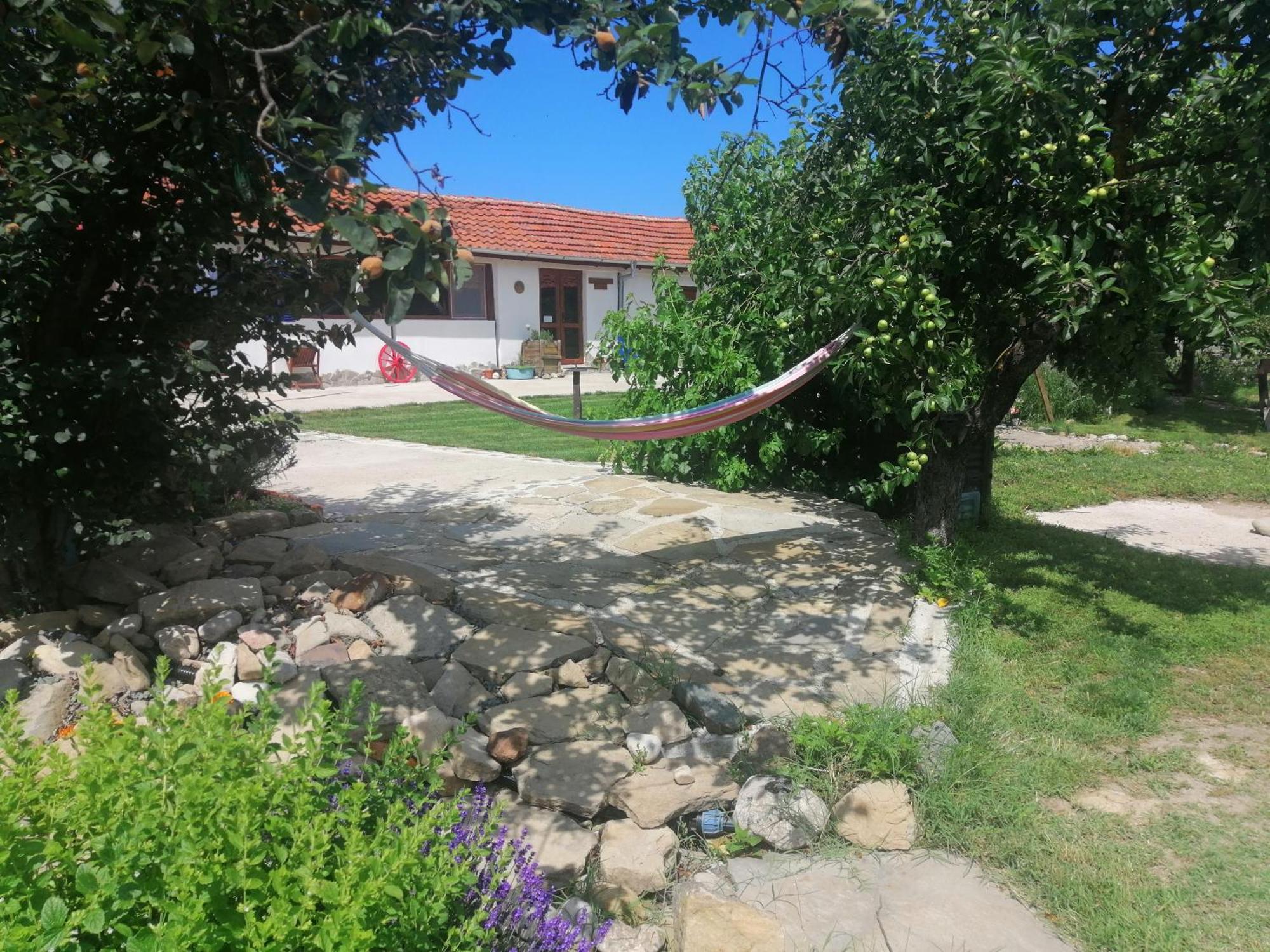 Calla Retreat Vezenkovo Exterior photo